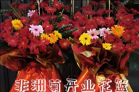 南阳新野县开业花篮